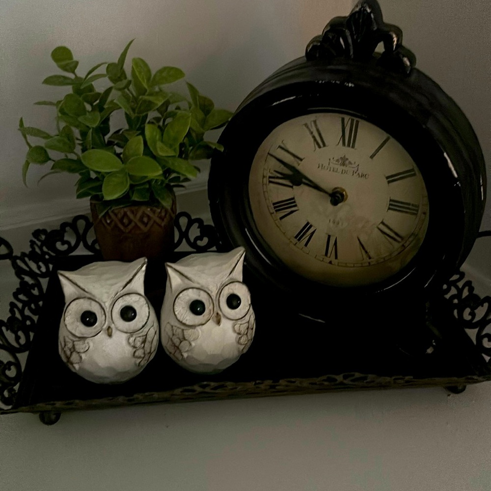 Decor pieces comes with tray ,2 baby owls 🦉, clock small ivy plant!!